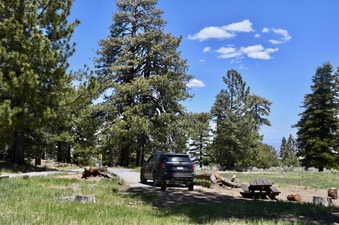 Enlarge photo 10
