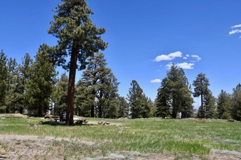 Enlarge photo 16