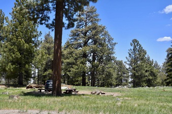 Enlarge photo 17