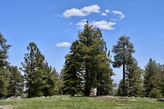 Enlarge photo 18