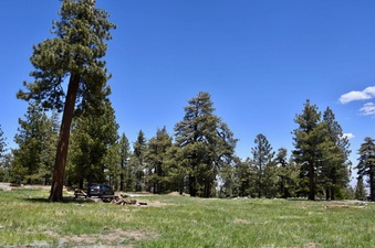 Enlarge photo 19