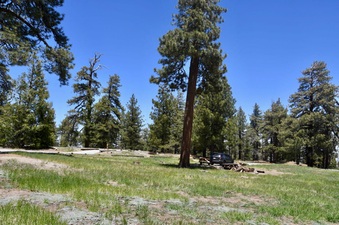 Enlarge photo 20