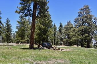 Enlarge photo 21