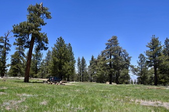 Enlarge photo 24