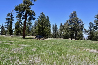 Enlarge photo 25