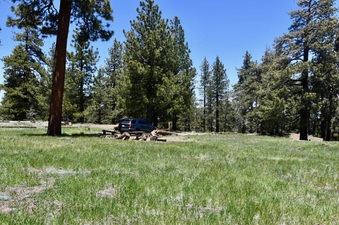 Enlarge photo 26