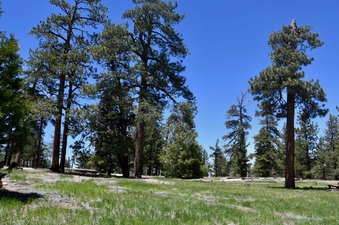 Enlarge photo 28