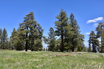 Enlarge photo 29