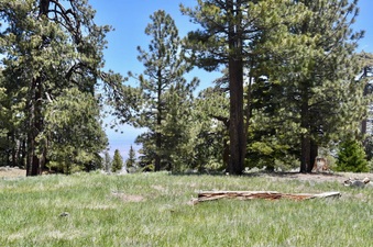 Enlarge photo 30