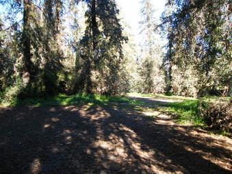 Enlarge photo 4