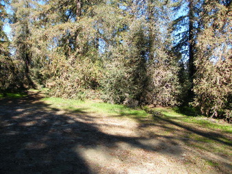 Enlarge photo 17