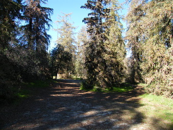 Enlarge photo 29
