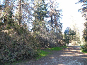 Enlarge photo 24