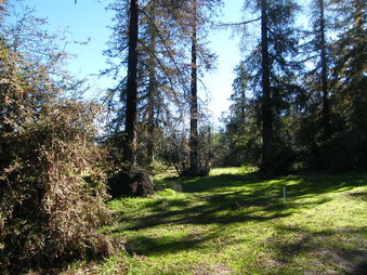 Enlarge photo 27