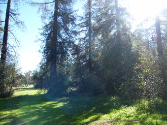 Enlarge photo 18