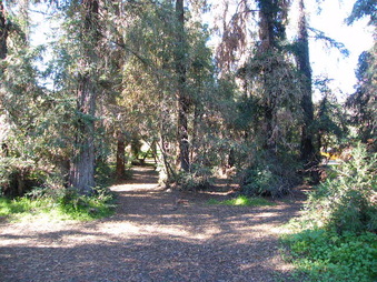 Enlarge photo 23