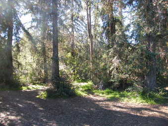 Enlarge photo 20