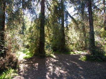 Enlarge photo 5