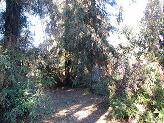 Enlarge photo 6