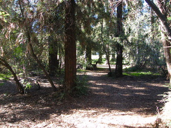 Enlarge photo 14