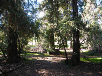 Enlarge photo 19