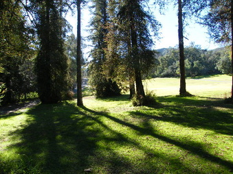 Enlarge photo 28