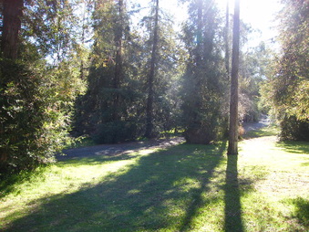 Enlarge photo 25