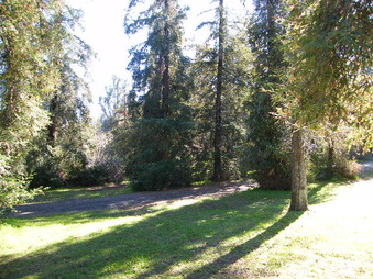 Enlarge photo 26