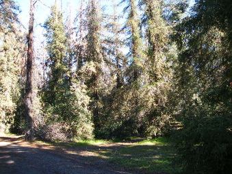 Enlarge photo 11