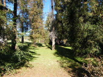 Enlarge photo 10