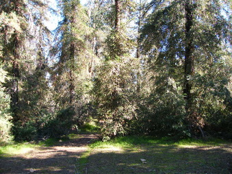 Enlarge photo 12