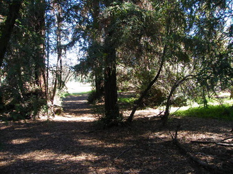 Enlarge photo 13