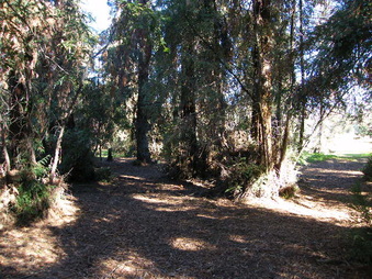 Enlarge photo 8