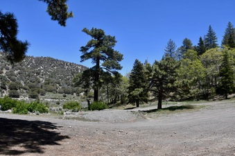 Enlarge photo 2