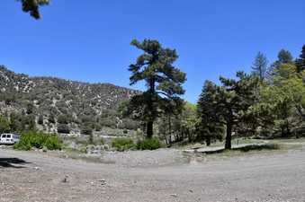 Enlarge photo 4