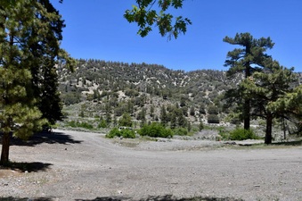 Enlarge photo 5
