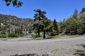 Enlarge photo 6