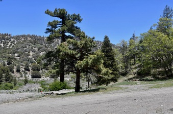 Enlarge photo 7