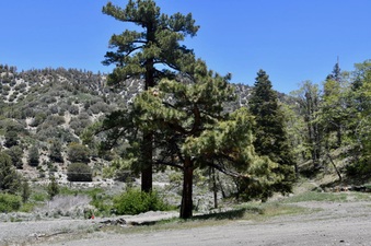 Enlarge photo 8