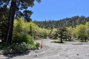 Enlarge photo 24