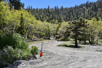Enlarge photo 25