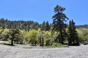 Enlarge photo 26