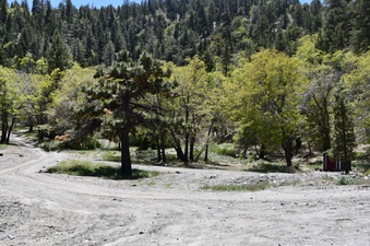 Enlarge photo 27
