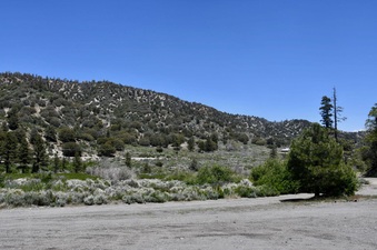 Enlarge photo 36