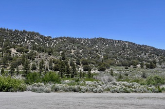 Enlarge photo 37