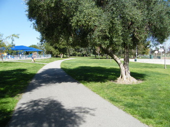 Enlarge photo 14