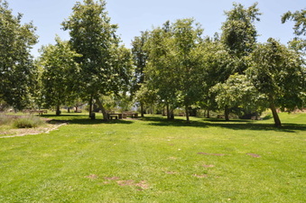 Enlarge photo 2