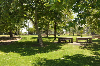 Enlarge photo 13