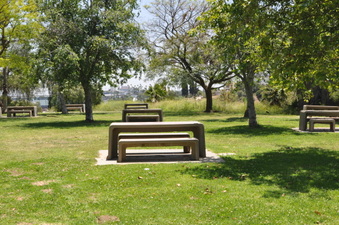 Enlarge photo 16