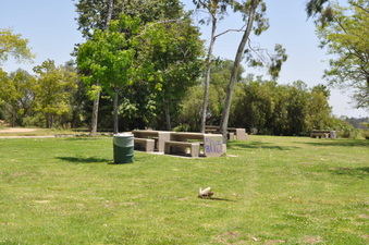 Enlarge photo 17